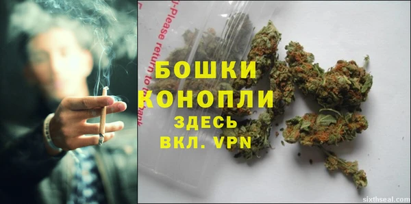 гидропоника Богданович