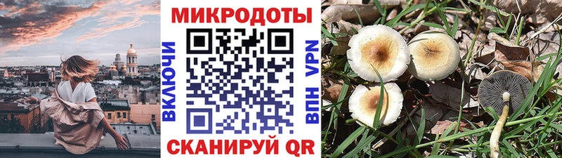Купить закладки  Кяхта  Галлюциногенные грибы Psilocybine cubensis 